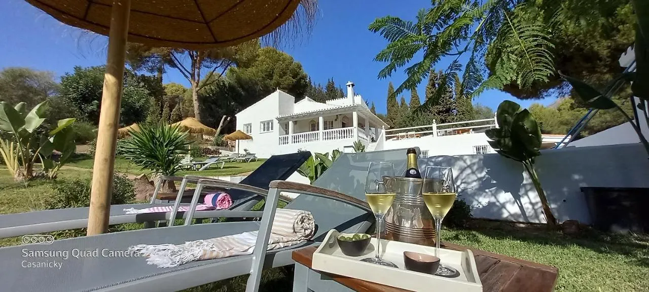 Casanicky - Adults Only location